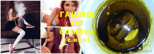 сатива Лабытнанги