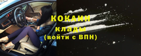 сатива Лабытнанги