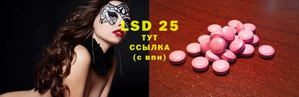 сатива Лабытнанги