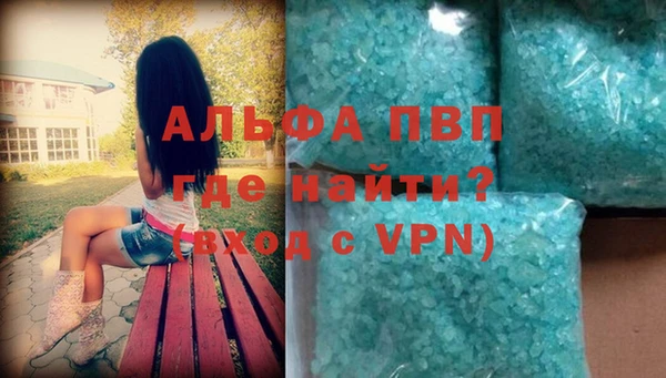 сатива Лабытнанги