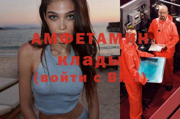 сатива Лабытнанги