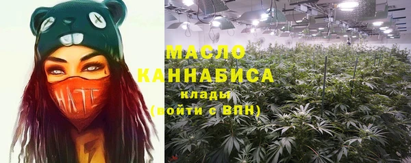 сатива Лабытнанги