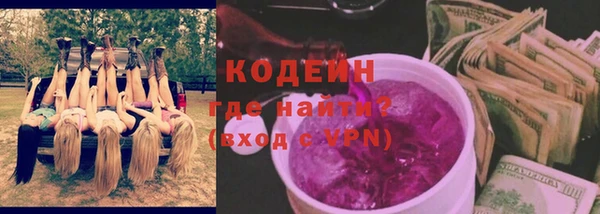 сатива Лабытнанги