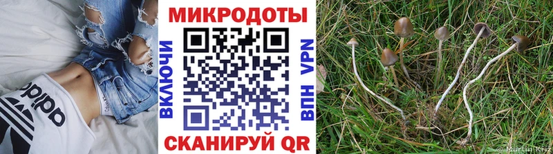 Галлюциногенные грибы GOLDEN TEACHER  hydra   Терек 